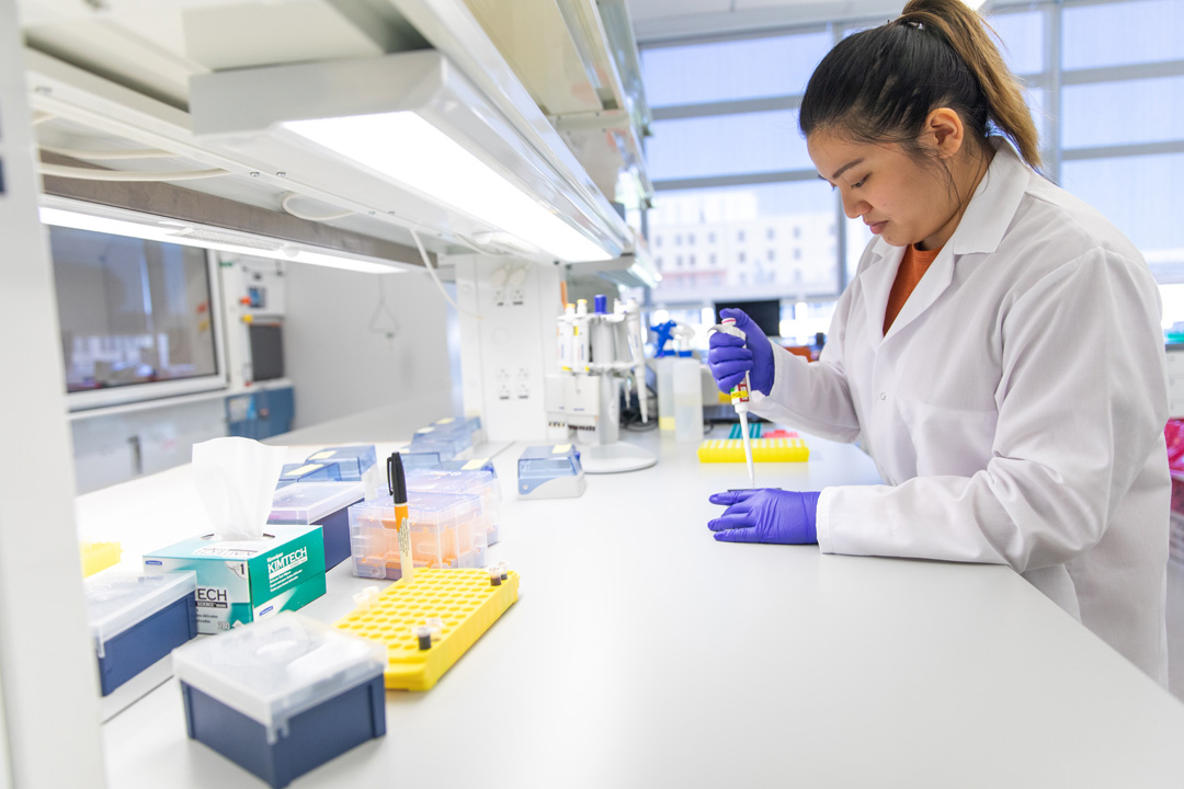 PhD student pipetting DNA samples in the CASHP Primate Genomics Lab