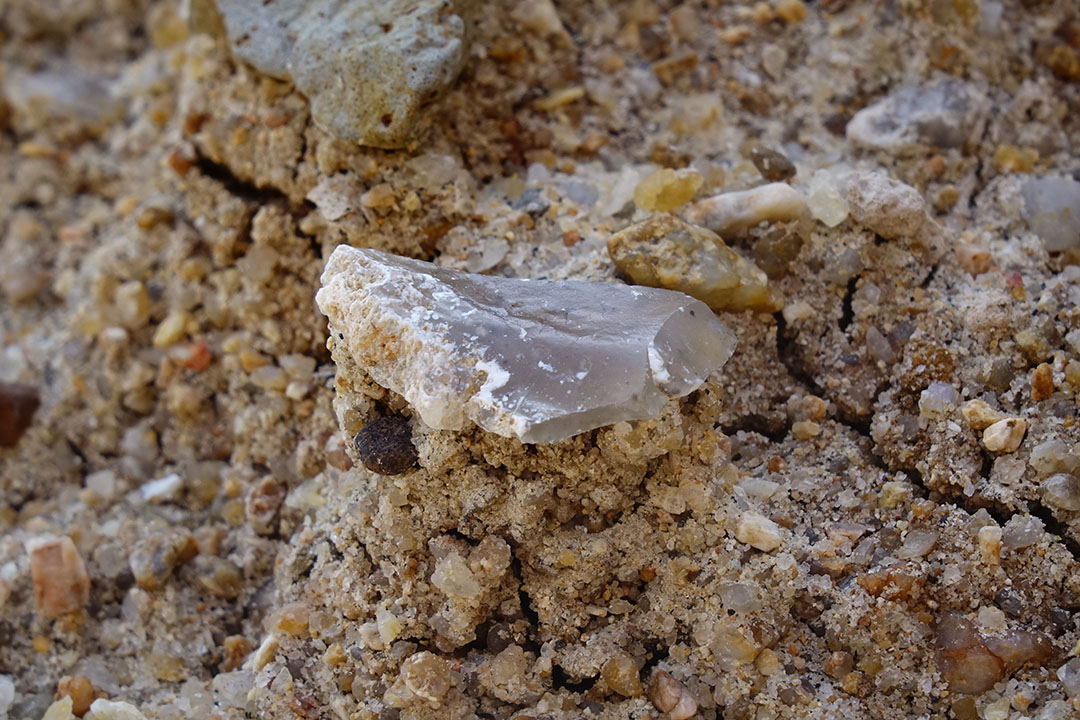 Led by GW researchers, an international team of scientists uncovered evidence of stone tools dating from 2.75 to 2.44 million years ago at a site in Kenya’s Turkana Basin. (Photos Courtesy Koobi Fora Research and Training Program)