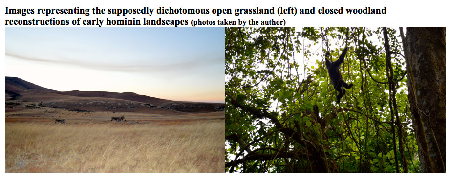 open grassland vs closed woodlands, a reconstruction of hominin landscapes