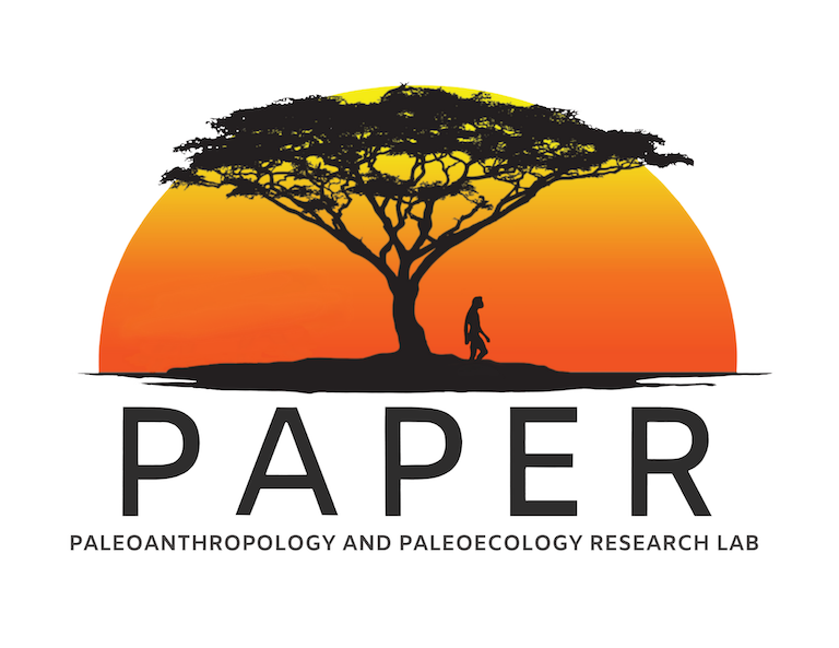 PAPER Lab Logo