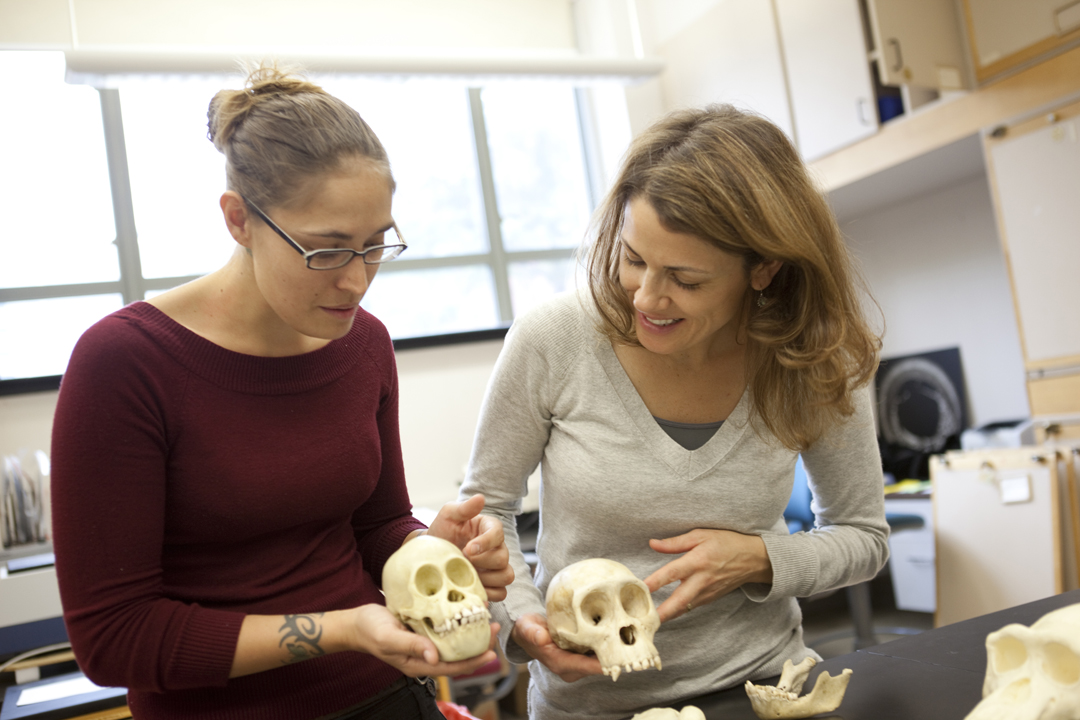 two students in the CASHP Hominid Paleobiology lab in SEH.