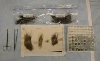 clippings of hair in bags