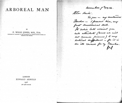 Cover of Arboreal Man
