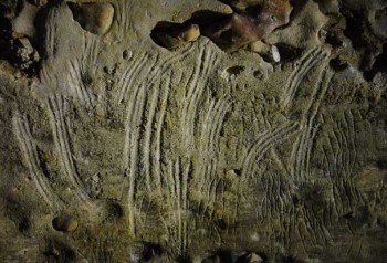 Prehistoric cave engravings